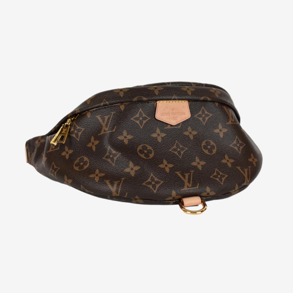 Louis Vuitton Bumbag Monogram Canvas