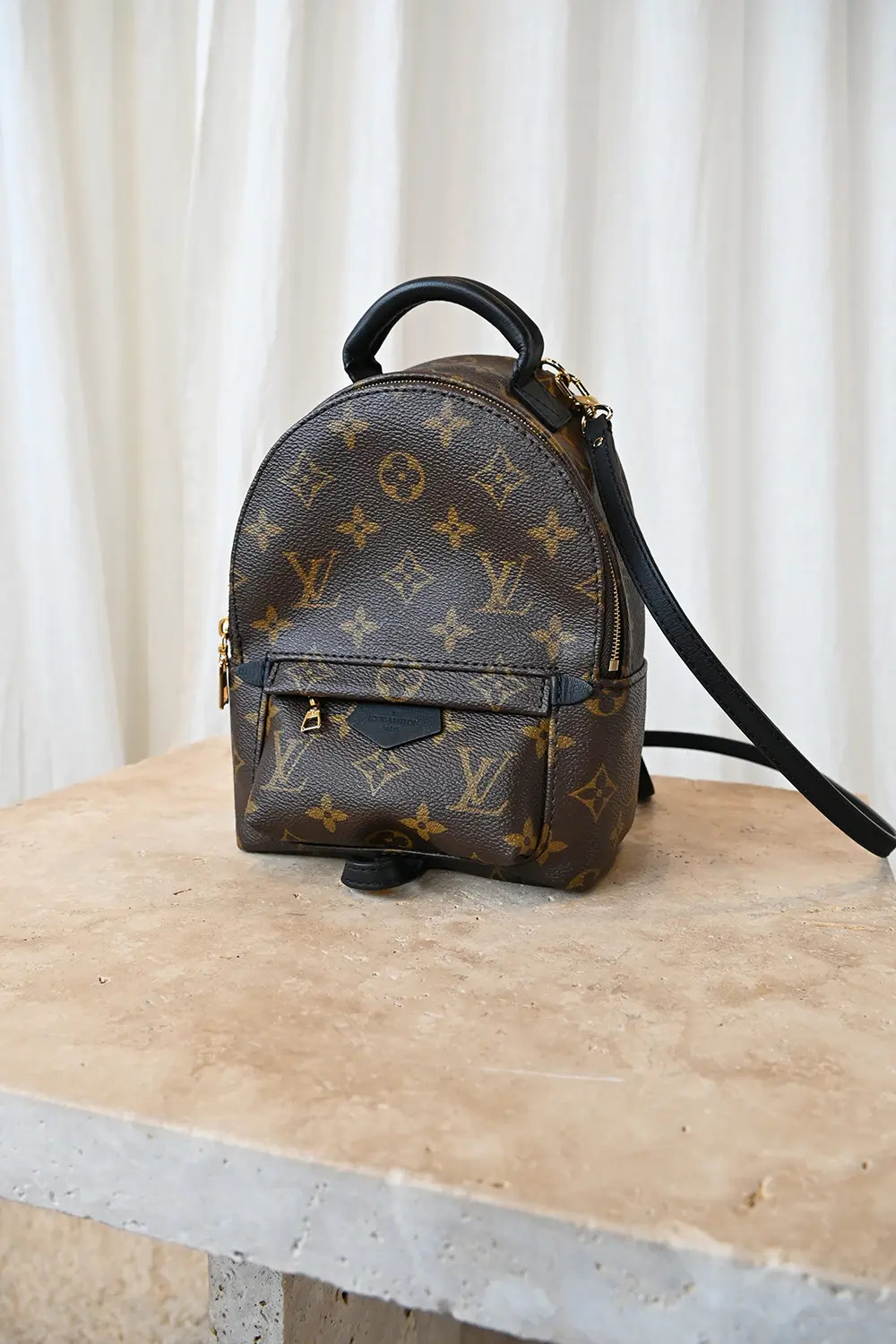 Louis Vuitton Palm Springs Mini backpack